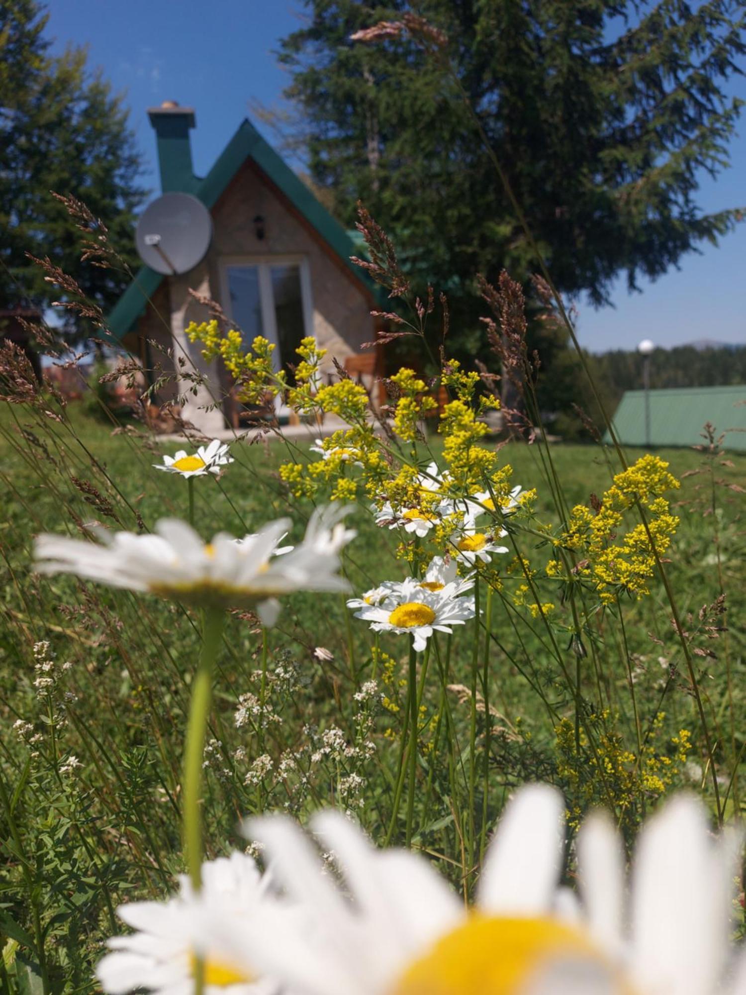 Durmitor Bungalows Zabljak  Luaran gambar